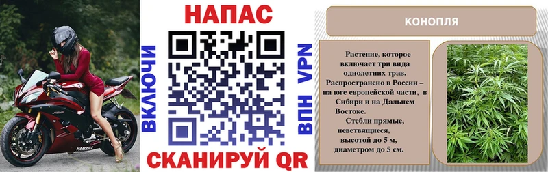 Шишки марихуана гибрид  Котельниково 